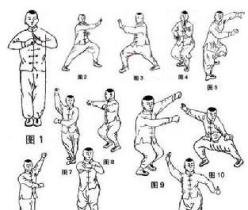 中国武术拳法多种多样