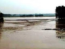 男88年阳历10月15日女91年阳历6月3日,可以结