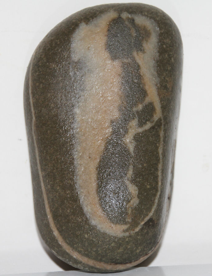  奇石  图片 107k 690x900  捡到伟人造型奇石 详细