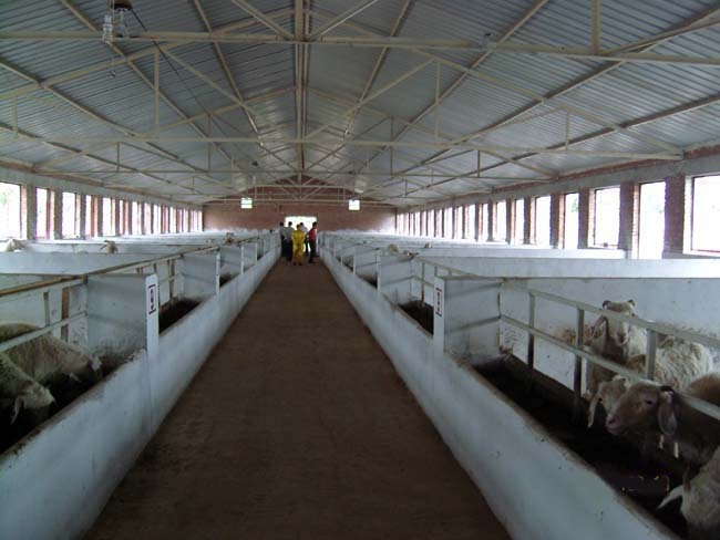 编辑本段七,养殖场景