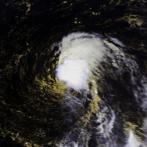 2007年太平洋台风季