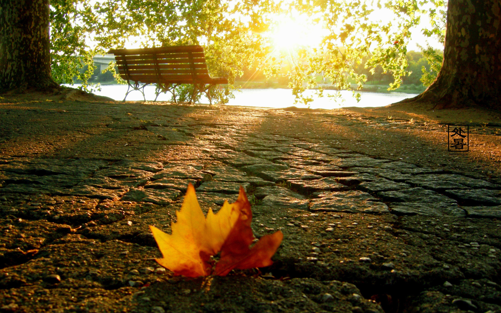 南方的秋天 吉他谱分享_南方的秋天 吉他谱图片下载