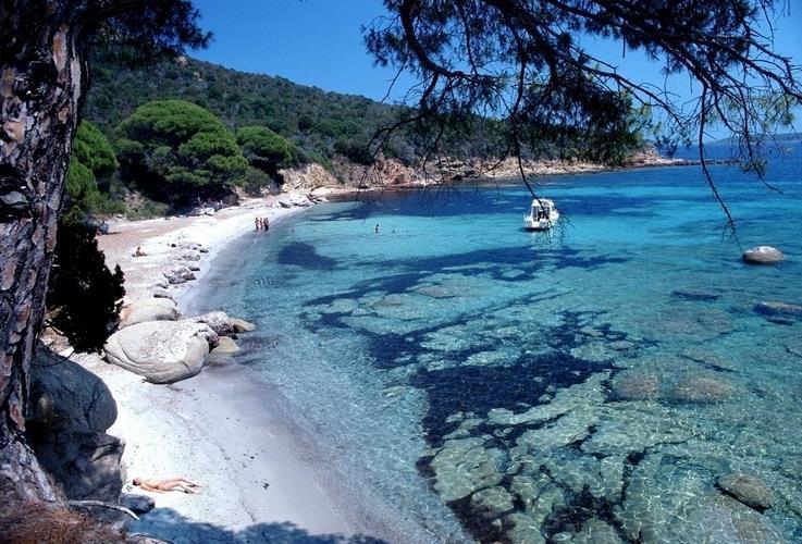 在加勒比地区也不例外