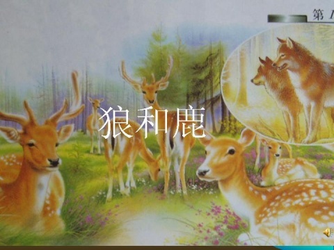 鹿和狼的故事思维导图_鹿和狼故事