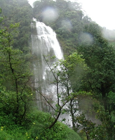 无量山国家级自然保护区