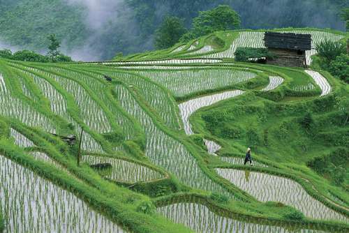 北极乡(四川南江县北极乡)_360百科