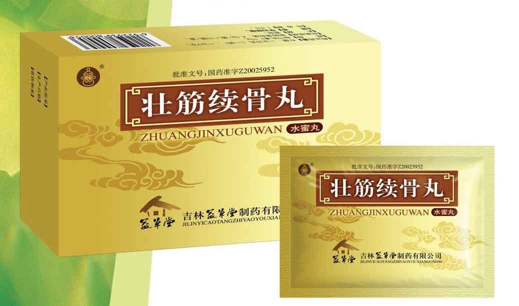 壮筋续骨丹