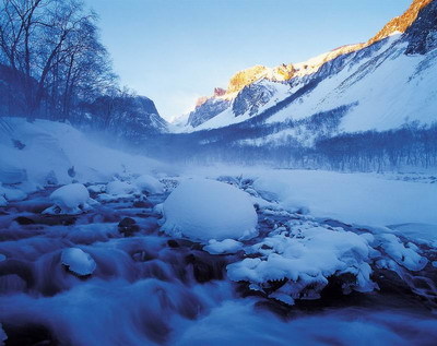 冻原有两类,分布于北极平原地区的叫平地冻原或